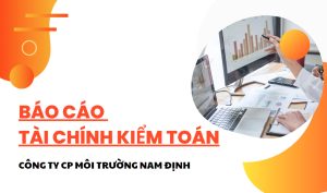 báo cáo tài chính
